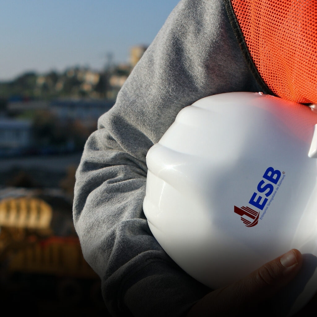 ESB2 1024x1024